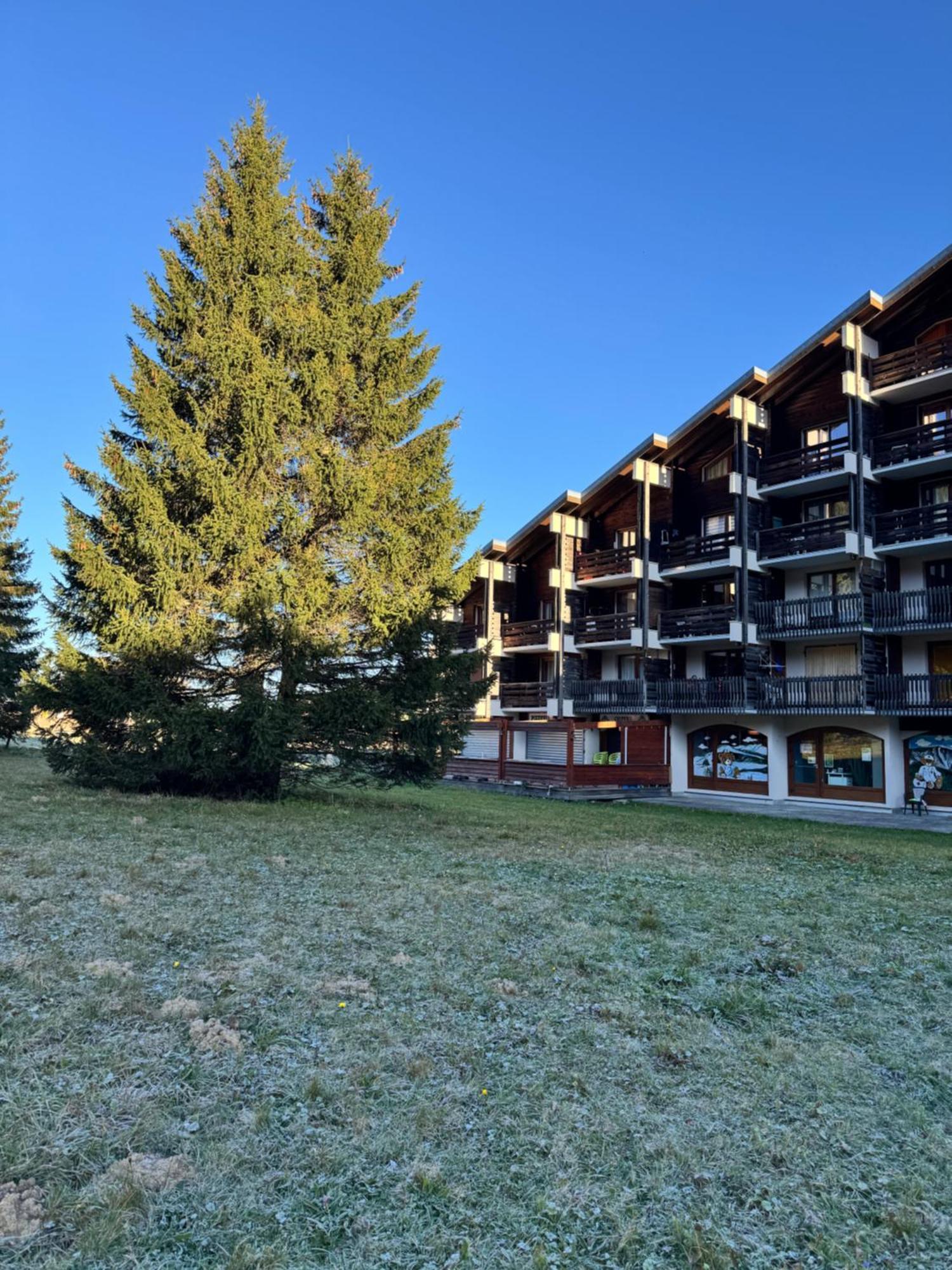 Superbe studio au pied des pistes La Morte Exterior foto